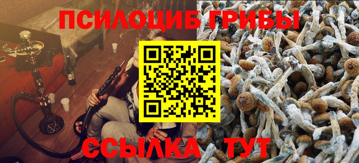 Псилоцибиновые грибы Magic Shrooms  хочу   Когалым  Вход с VPN  Галлюциногенные грибы Cubensis 
